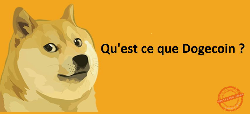 Qu'est-ce que le Dogecoin ?