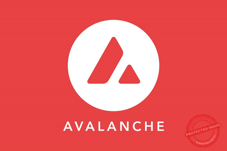 Avalanche AVAX