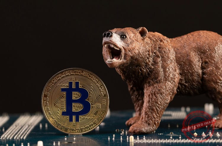 Bear market - Qu'est-ce que c'est ?