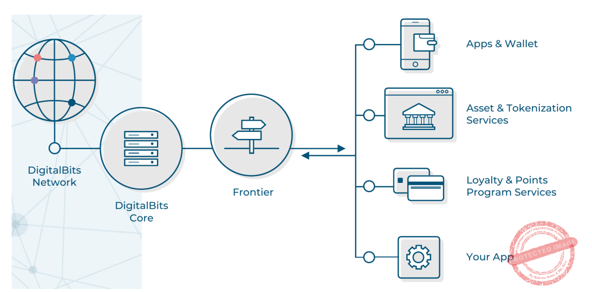 L'architecture du réseau DigitalBits (source : whitepaper)