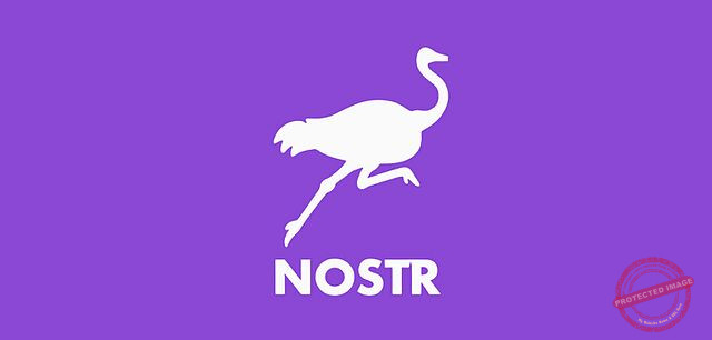 Nostr le protocole social des bitcoiners : Avis et guide complet