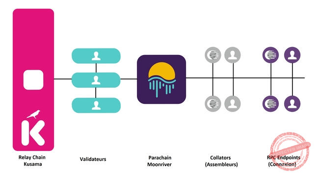 Structure de la crypto Moonriver