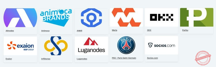 Les onze validateurs choisis par l'équipe de Chiliz