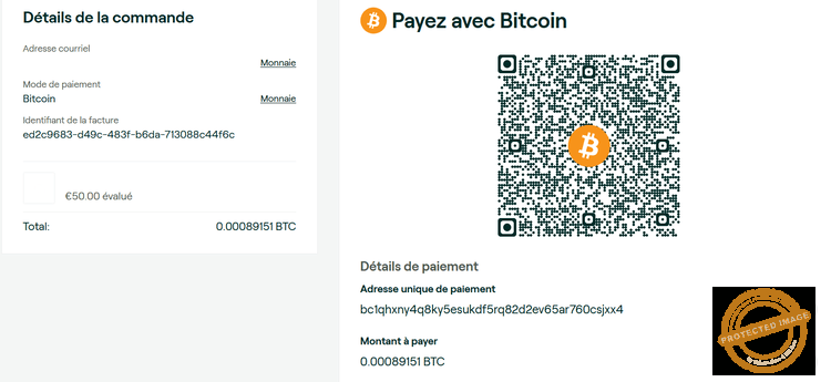 Finalisez votre transaction en effectuant une transaction de pair à pair directement depuis votre wallet crypto