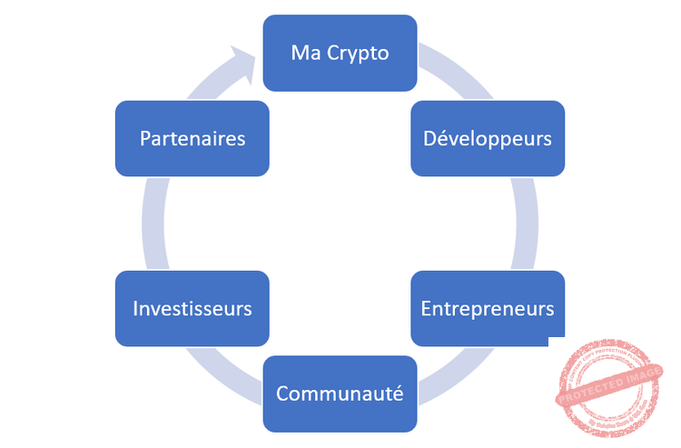 Créer une cryptomonnaie implique différents acteurs